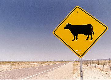 米哈游《绝区零》港服PS商店页面上线 可加入愿望单